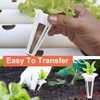 Hydroponic Growing Set, Hydroponics System Garden Pods with Grow Sponge