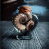 Octopus Tentacle Mini Heart Wet Specimen Apothecary Bottle Curiosity Decor