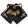Ring to Cage Gladiator Muay Thai Shorts (Medium) Black/Gold