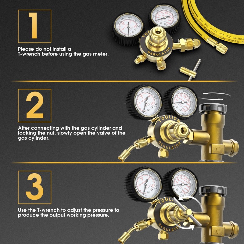 TOOLIOM Nitrogen Regulator with 6' 7" Hose CGA580 Inlet Connection