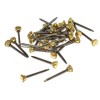 Taskar 25 x 24mm Brass Headed Knurled Picture Pins Heavy