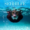 Khroom Dekra Snorkel Mask for Adults and Children, Tested CO2