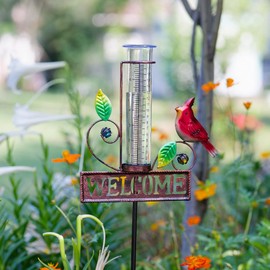 Stargarden Rain Gauge Outdoor, Metal Cardinal Rain Gauge, Rain Gauges with 7inch Plastic Tube, Decorative Rain Gauge for Yard, Garden, Lawn, Pathway