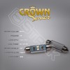 2x 2W Kit 120 lm - LED Bulbs - Crown