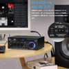 Bluetooth Digital Amplifier Stereo Receiver Car Amplifier Microphone SD/USB Player