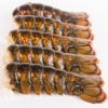 Today Gourmet Foods- Maine Lobster Tails 10oz-12oz - 2 Tails