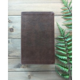 NLT Thinline Center-Column Reference Bible, Filament Enabled (LeatherLike, Rustic Brown, Red Letter)