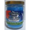 Smoke Odor Exterminator 13 oz Jar Candles Assortment Two Fragrances