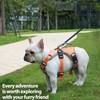 Huntboo Escape Proof Dog Harness, Escape Artist Harness, Reflective Dog