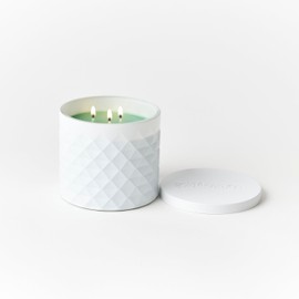 Gold Canyon Original Medium Candle, Holiday Wreath Scented Candle, 14 oz., Three Wicks, 100% Natural Soy Wax, Matte-White Jar, Notes of Pine, Balsam Fir, & Berries | 35+ Hours of Burn Time