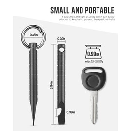 Titanium EDC Pry Bar with Bottle Opener, Measure Function Multi Tool, Small Keychain Prybar for Everyday Carry (Black, Mini Pry bar)