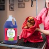 Groomer Essentials Rapid Dry Spray - Fast Drying and Conditioning