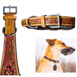 Majestic Ally Leather Dog Collar with Adjustable, Padded Fit for Walking, Hiking, and Running, Designer Western Wear for Puppies, Fancy Colors (Red - Natural, Large)