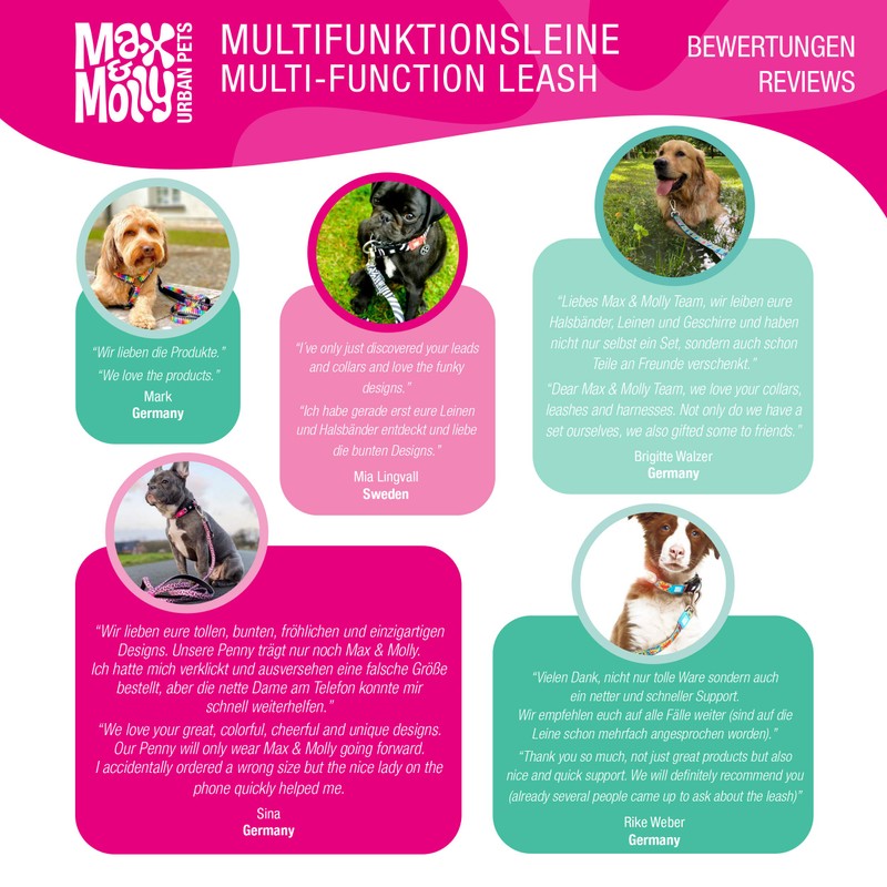 Max & Molly 6-in-1 Hands Free Multi-Function Dog Leash, Ultra