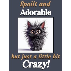 Black Cat Kitten funny flexible fridge magnet gift