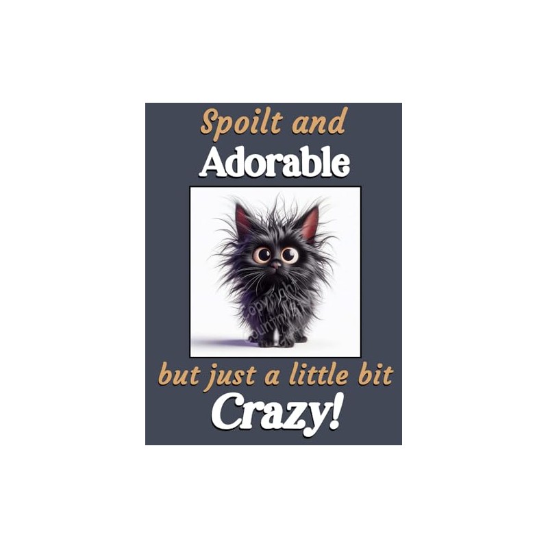 Black Cat Kitten funny flexible fridge magnet gift