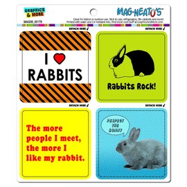Graphics and More Bunny Rabbit Love Mag-Neato's Automotive Car Refrigerator Locker Vinyl Magnet Set