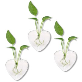 Wall Hanging Planter Propagation Station for Indoor Plants Glass Wall Plant Station for Flowers, Hydroponics PlantsBathroom, Home Office Living Room Decor - 3 Sets