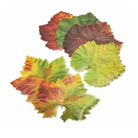 Parchment Paper Leaves for Cheese & Charcuterie Boards - Sisson Distribution Grape Leaves (Pack of 20) - Food Safe Decoration for Plate & Table