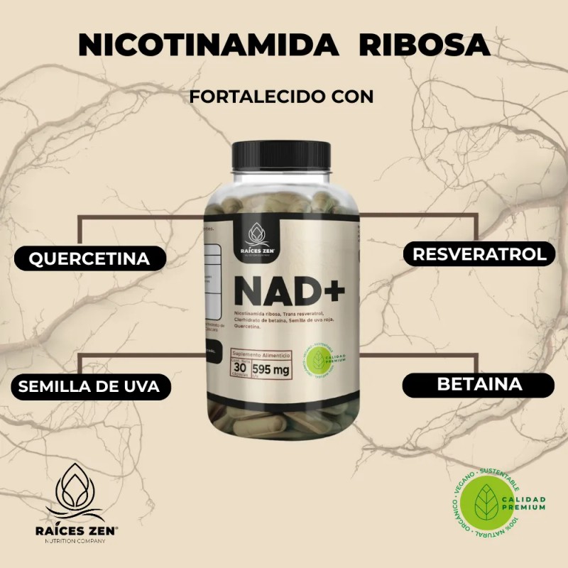 NAD+ Nicotinamida Ribosa, Resveratrol, Betaina, Quercetina Raíces Zen Súper Premium