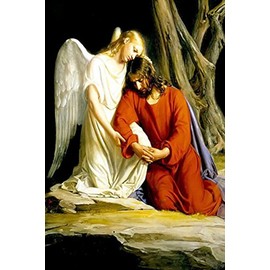 Hispanic World Jesus in Prayer at The Garden of Gethsemane Print Picture (8x10)