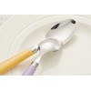 ANNOVA Silverware Set 20 Pieces Stainless Steel Cutlery Color Handle