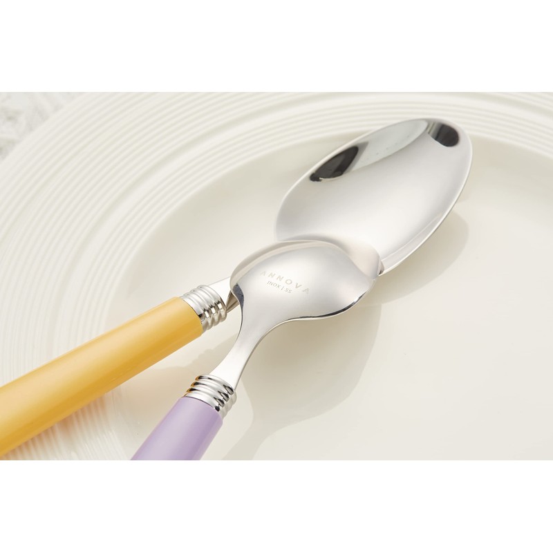 ANNOVA Silverware Set 20 Pieces Stainless Steel Cutlery Color Handle