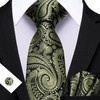 Barry.Wang Olive Green Black Ties for Men Paisley Silk Necktie