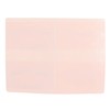 2pcs Lip Practice Skin 4 Lip Shapes Permanent Makeup Lip