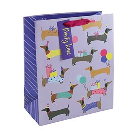 Eurowrap Gift Bag, Youth Large / 11-13, Multi