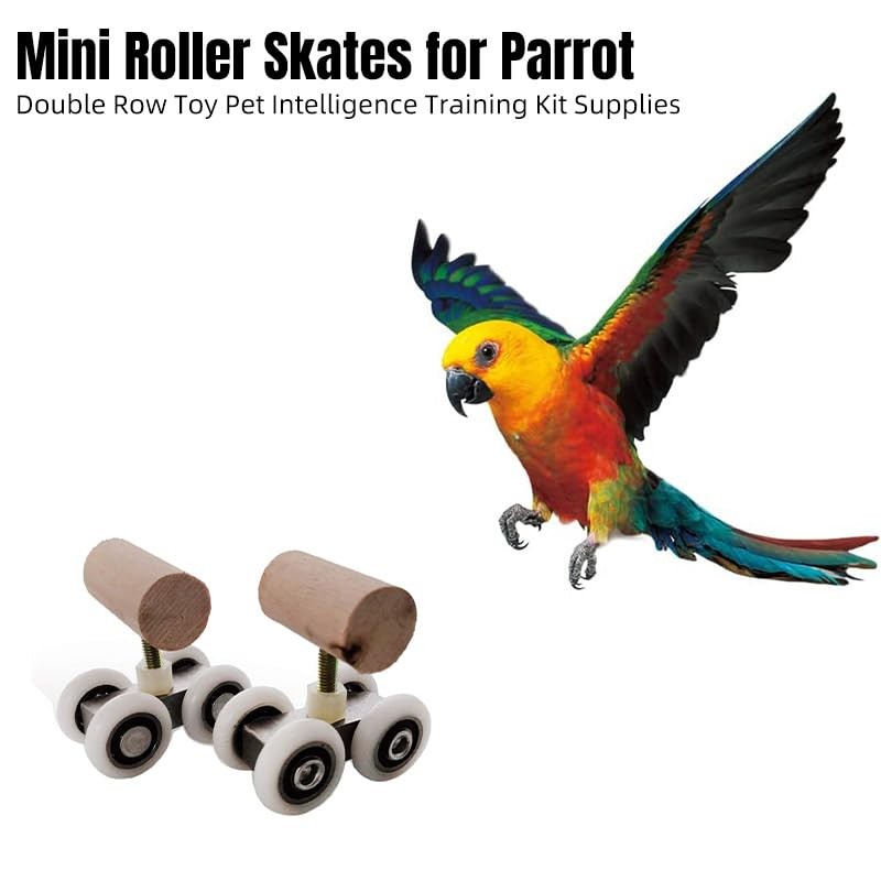 AIMALL Parrot Training Toy Pulley Skateboard for Small Birds |