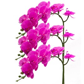 CXGS Artificial Orchid Flower 9 Large Petals Realistic Latex Faux Orchids 3PCS 37in Orchid Stems Fuchsia Fake Phalaenopsis Flower for Wedding Home Arrangement Décor