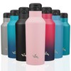 Insulated Water Bottle with Straw,17 OZ Double Wall Vacuum Stainless