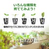 Happy Spring Hydroponic Cultivation Pot, Seedling Pot, 6 Colors, 3
