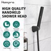 Homipro Matte Black Brass 2 In 1 Function High Flow