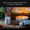 Voluspa Wildflowers, 3 Wick Tin Candle, 12 Ounce, 40 Hour