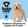 Calming & Deodorising Dog Shampoo by Buddycare | Lavender Scented
