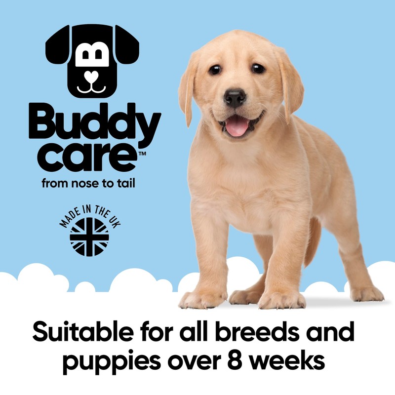 Calming & Deodorising Dog Shampoo by Buddycare | Lavender Scented