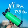 Atlas ADHB-1000BRYE Water Bottle, 33.8 fl oz (1,000 ml), 1.0