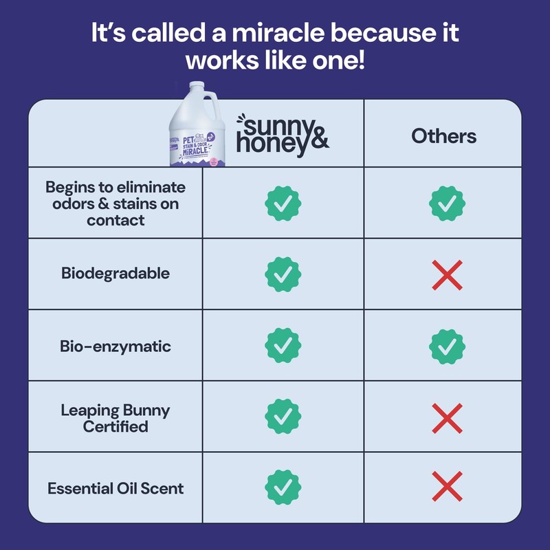 Sunny & Honey Carpet Cleaner & Odor Remover Spray -