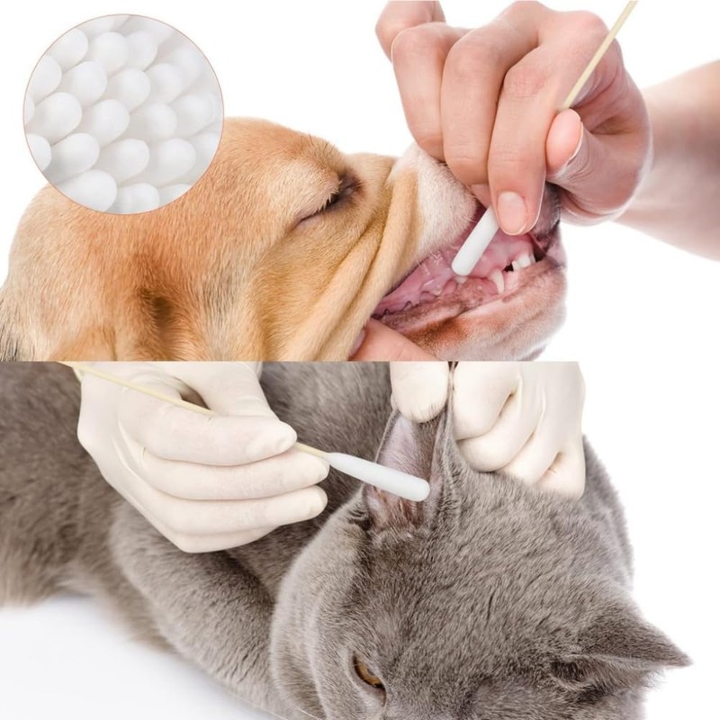 犬の綿棒 犬用綿棒 犬 猫 綿棒 ペット用 100本入り 犬 耳掃除 長い