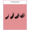 GirlGotLashes Mini Box Cat Eye Edition No. 2, Home Eyelash