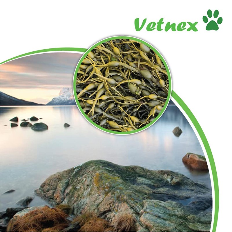 VETNEX PLAQUE CONTROL POWDER SALMON FOR DOG & CAT 100G