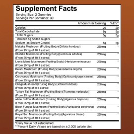 Mushroom Extract Complex Gummies Lions Mane Chaga Reishi Focus Memory Immunity