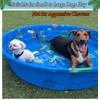 BoomBone Squeaky Dog Water Pool Toys 4 Pack, Interactive Summer