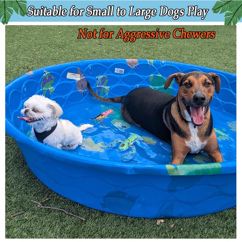 BoomBone Squeaky Dog Water Pool Toys 4 Pack, Interactive Summer