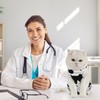 Avont Cat Recovery Suit, Kitten Onesies for After Surgery, Surgical