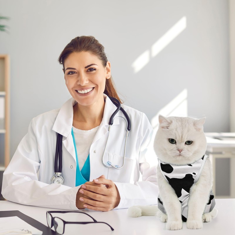 Avont Cat Recovery Suit, Kitten Onesies for After Surgery, Surgical