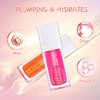 Plumping Lip Oil, Tinted Lip Balm Hydrating Lip Gloss, Long