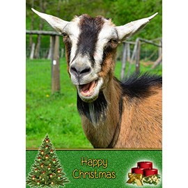 Goat Christmas Card 'Happy Christmas' - Special Xmas Card for Him Her Kids Male Female